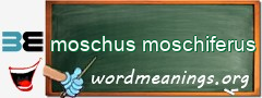 WordMeaning blackboard for moschus moschiferus